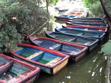 picture of row boats