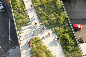 picture of high line park